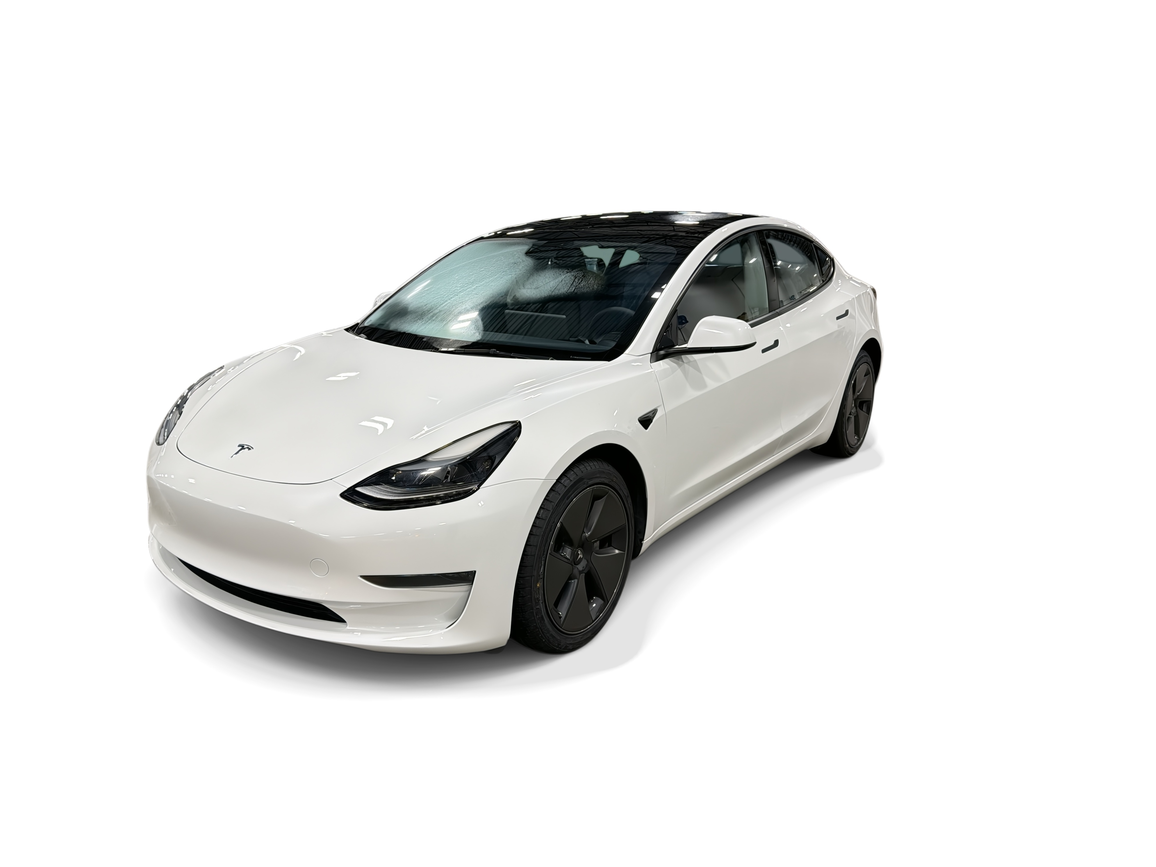tesla model 3 2023 5YJ3E1EA5PF616391 image tesla model 3 2023 5YJ3E1EA5PF616391 image